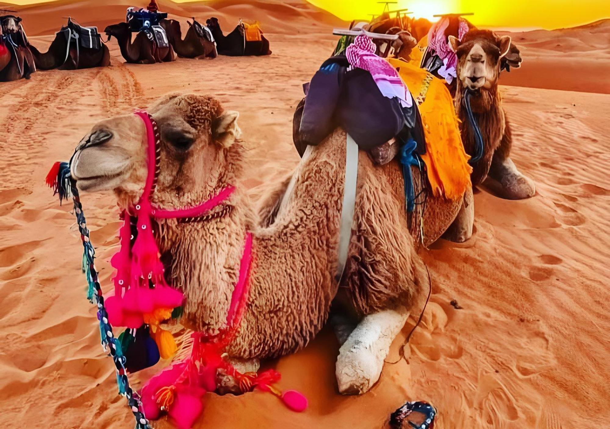 Top Desert Luxury Camp 메르주가 외부 사진